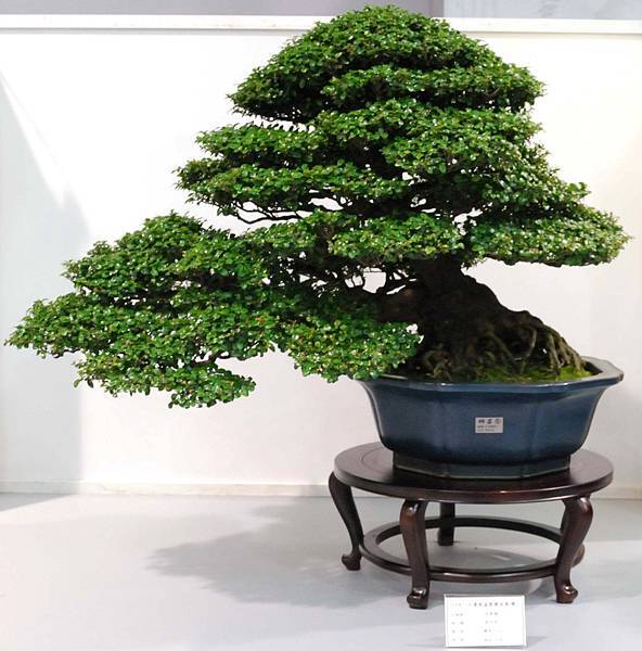 DSC_2508.jpg DSC_2508.jpg