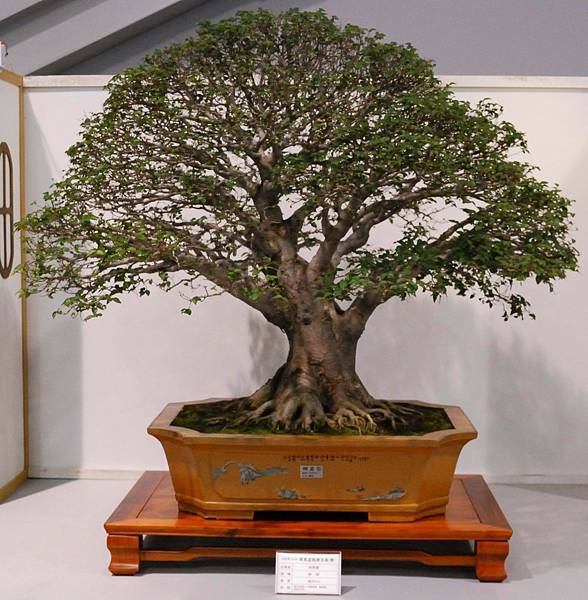 DSC_2512.jpg DSC_2512.jpg