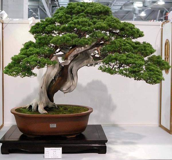 DSC_2518.jpg DSC_2518.jpg