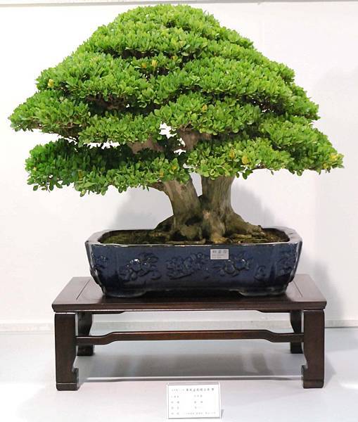 DSC_2517.jpg DSC_2517.jpg