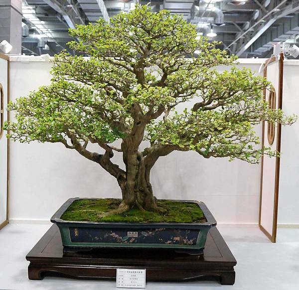 DSC_2524.jpg DSC_2524.jpg