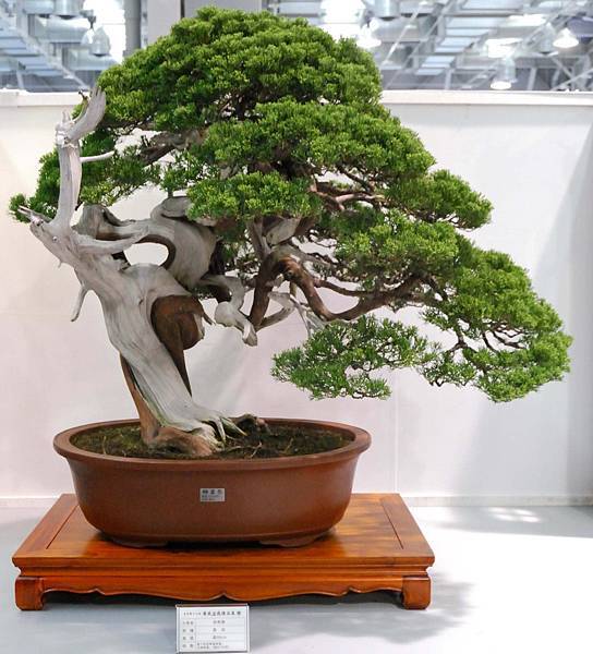 DSC_2526.jpg DSC_2526.jpg