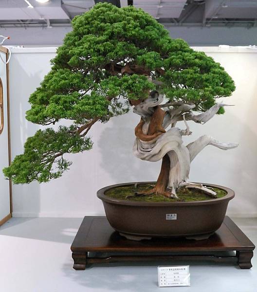 DSC_2529.jpg DSC_2529.jpg