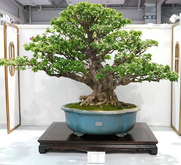 DSC_2532.jpg DSC_2532.jpg