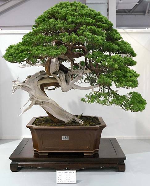 DSC_2537.jpg DSC_2537.jpg