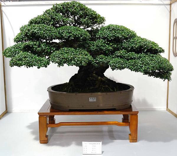 DSC_2538.jpg DSC_2538.jpg