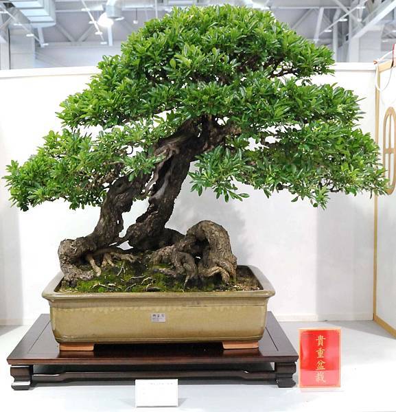 DSC_2544.jpg DSC_2544.jpg