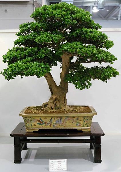 DSC_2547.jpg DSC_2547.jpg