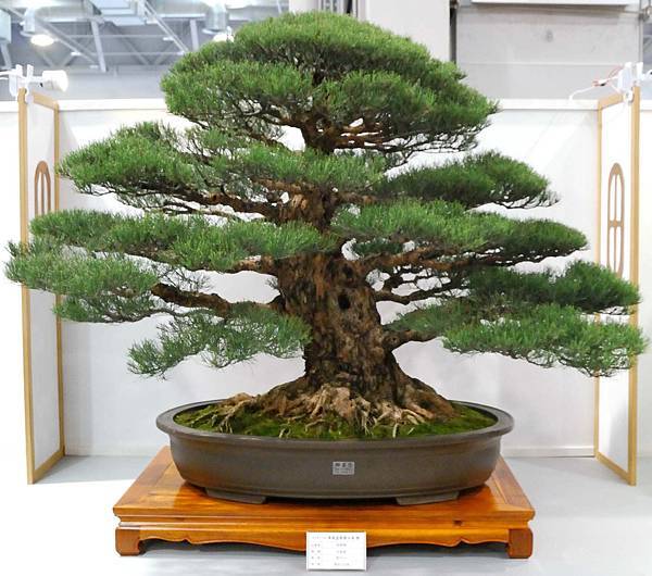 DSC_2548.jpg DSC_2548.jpg