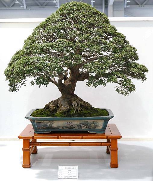 DSC_2549.jpg DSC_2549.jpg