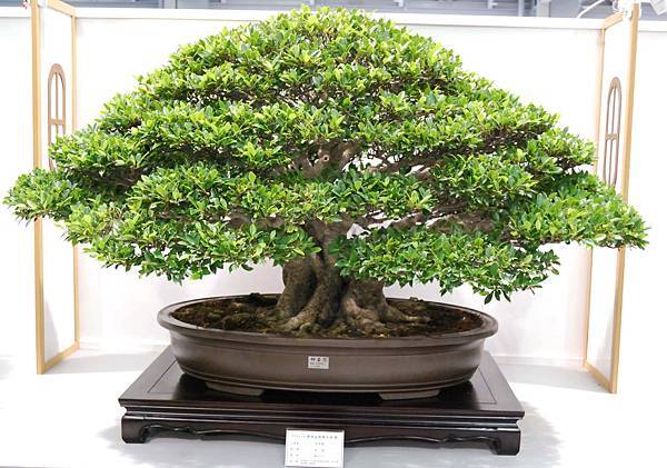 DSC_2551.jpg DSC_2551.jpg