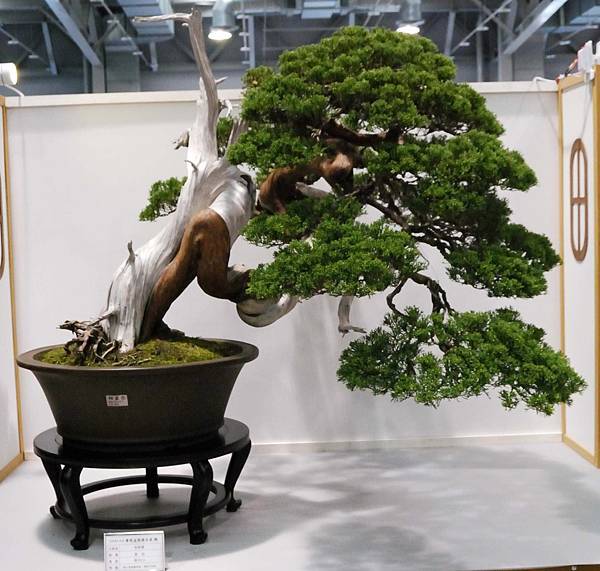 DSC_2552.jpg DSC_2552.jpg