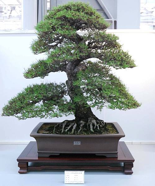 DSC_2557.jpg DSC_2557.jpg