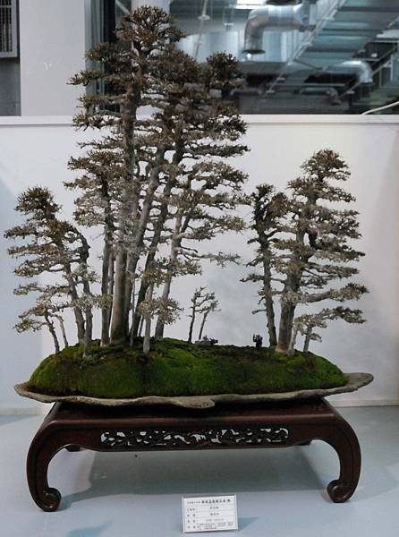 DSC_2559.jpg DSC_2559.jpg