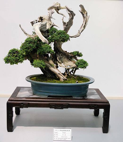 DSC_2561.jpg DSC_2561.jpg