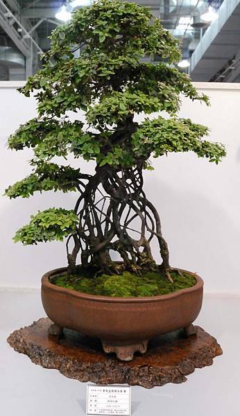 DSC_2563.jpg DSC_2563.jpg