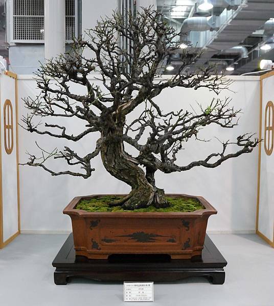 DSC_2566.jpg DSC_2566.jpg