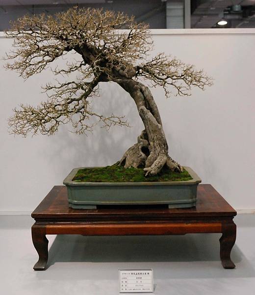 DSC_2568.jpg DSC_2568.jpg