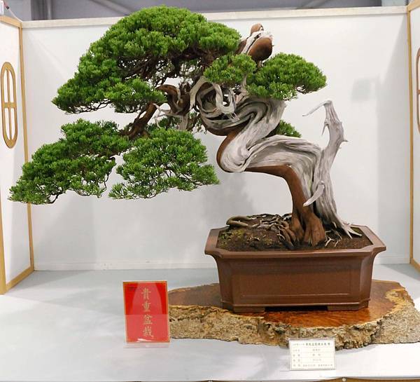 DSC_2570.jpg DSC_2570.jpg