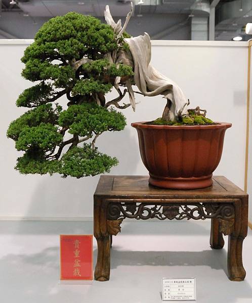 DSC_2569.jpg DSC_2569.jpg