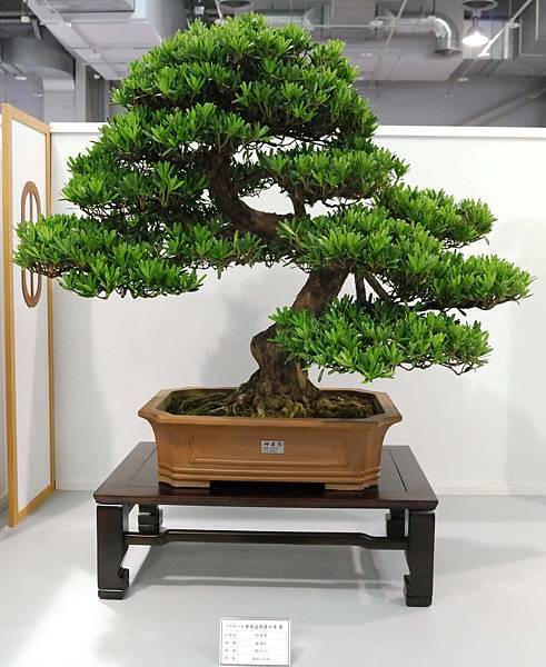 DSC_2571.jpg DSC_2571.jpg