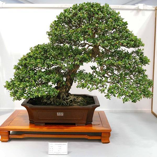 DSC_2574.jpg DSC_2574.jpg