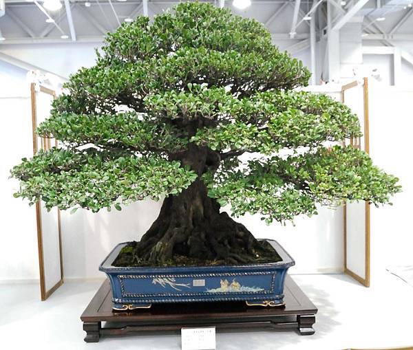 DSC_2573.jpg DSC_2573.jpg