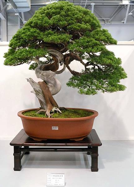 DSC_2575.jpg DSC_2575.jpg