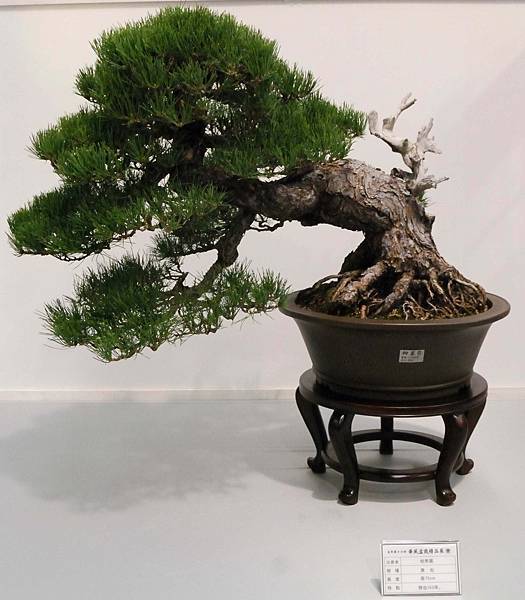 DSC_2576.jpg DSC_2576.jpg