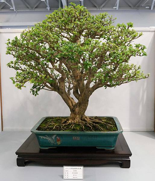 DSC_2577.jpg DSC_2577.jpg