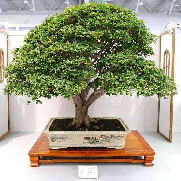 DSC_2578.jpg DSC_2578.jpg