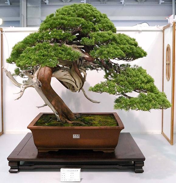 DSC_2582.jpg DSC_2582.jpg