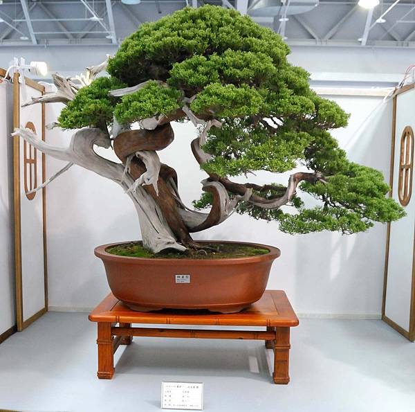 DSC_2584.jpg DSC_2584.jpg