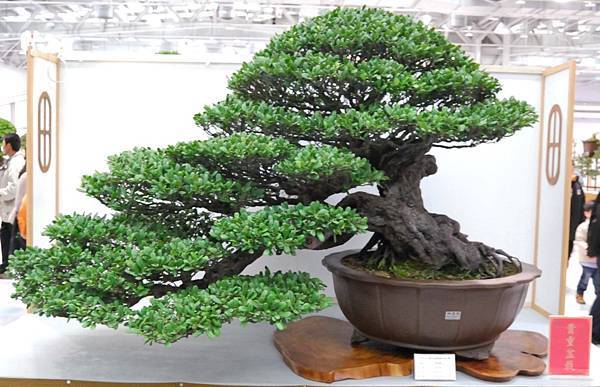 DSC_2586.jpg DSC_2586.jpg