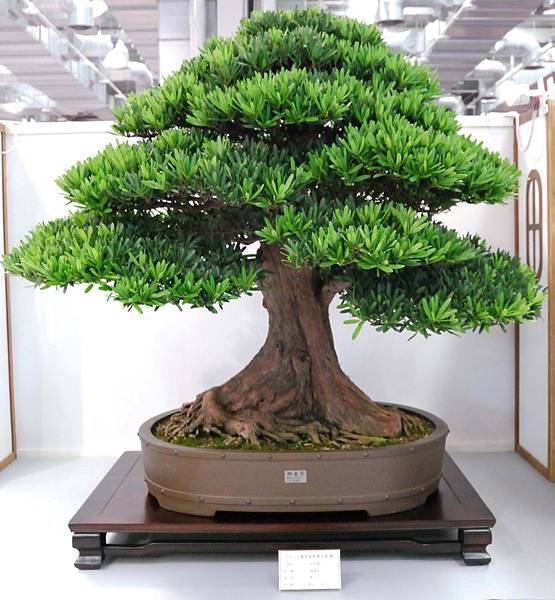 DSC_2587.jpg DSC_2587.jpg