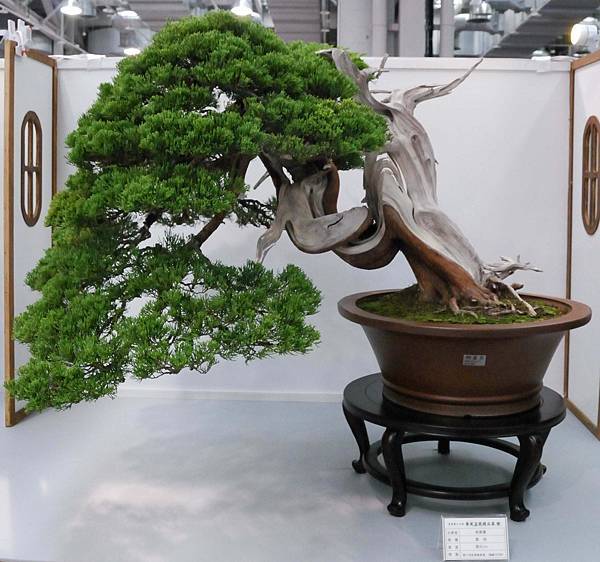 DSC_2588.jpg DSC_2588.jpg