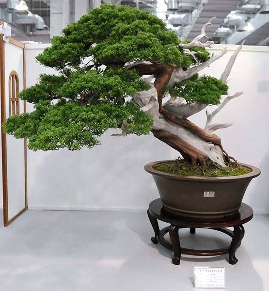 DSC_2593.jpg DSC_2593.jpg