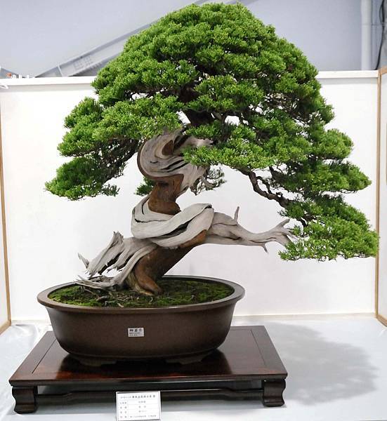 DSC_2601.jpg DSC_2601.jpg