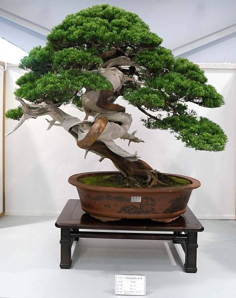 DSC_2603.jpg DSC_2603.jpg