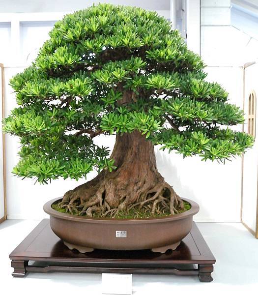 DSC_2608.jpg DSC_2608.jpg