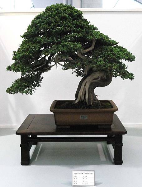 DSC_2607.jpg DSC_2607.jpg