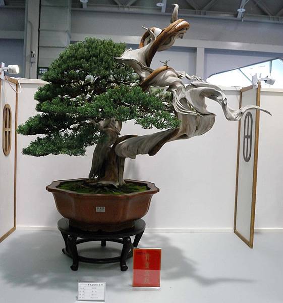 DSC_2612.jpg DSC_2612.jpg