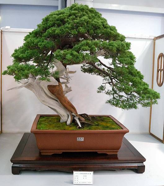 DSC_2614.jpg DSC_2614.jpg