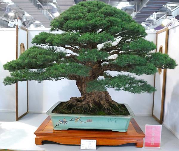 DSC_2616.jpg DSC_2616.jpg