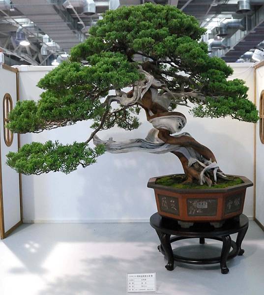 DSC_2617.jpg DSC_2617.jpg