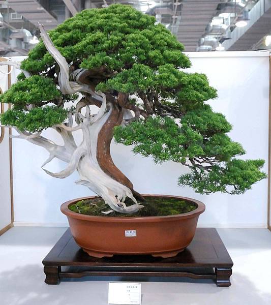 DSC_2620.jpg DSC_2620.jpg