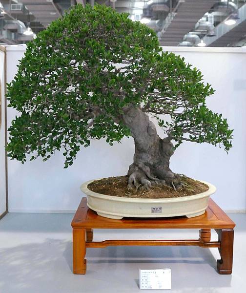 DSC_2622.jpg DSC_2622.jpg