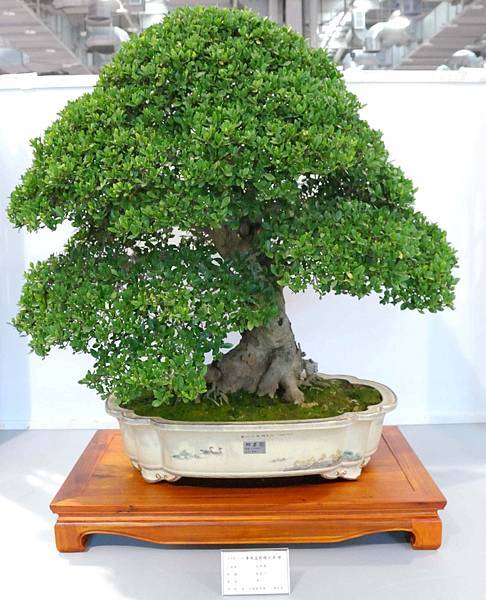 DSC_2624.jpg DSC_2624.jpg