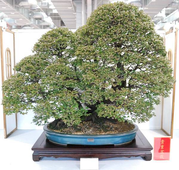 DSC_2623.jpg DSC_2623.jpg