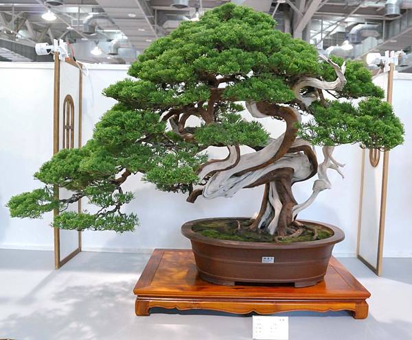 DSC_2625.jpg DSC_2625.jpg